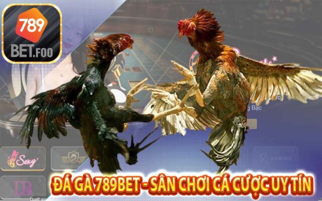 Đá gà 789bet sân chơi cá cược xanh chín cho anh em kê thủ - Kinh nghiệm vào kèo đá gà trực tuyến