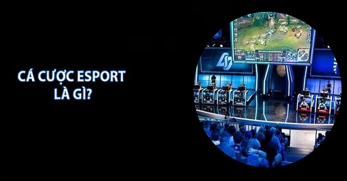 Cá cược Esport là gì?