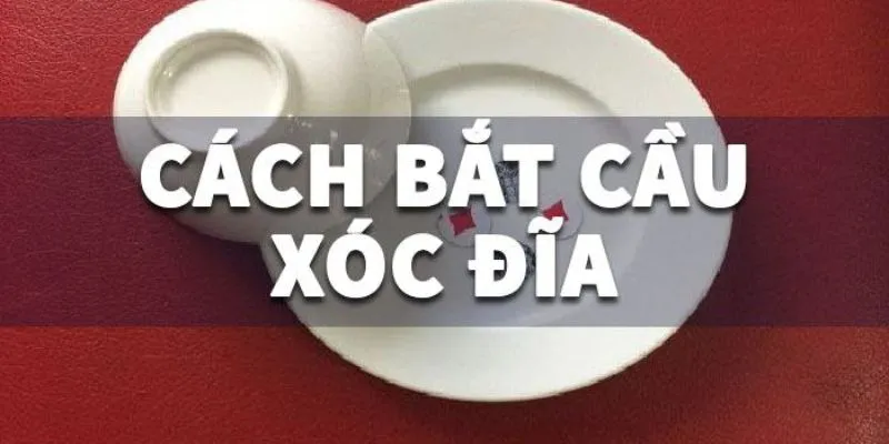 Bật mí cách thức soi cầu Xóc Đĩa chẵn lẻ siêu chuẩn xác dành cược thủ